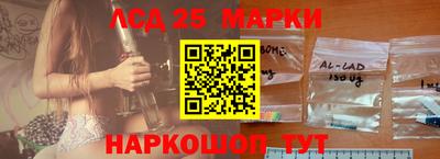 спиды Славгород