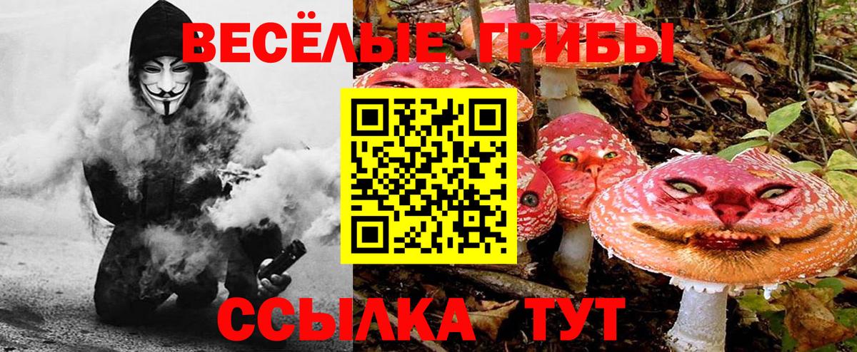 Псилоцибиновые грибы прущие грибы  Вход с VPN  Псилоцибиновые грибы MAGIC MUSHROOMS  Подольск 