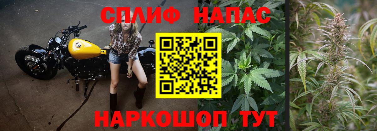 Шишки марихуана MAZAR Подольск